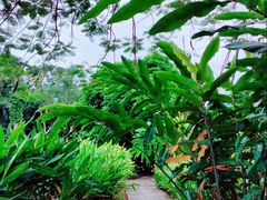 -中国科学院西双版纳热带植物园