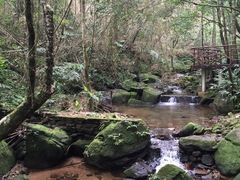 -海南热带雨林国家公园吊罗山景区