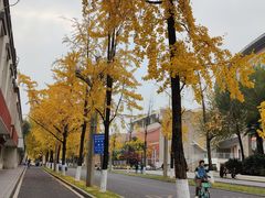 -四川大学(望江校区)