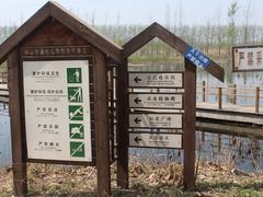 -微山湖红荷湿地景区