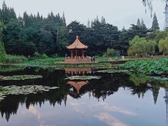 -青岛中山公园-索道售票处