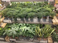 -鹿岛生活(熙地港店)