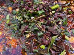 -乐山第一家临江鳝丝(茶坊路店)