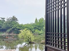 -水绘园