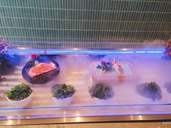 -额尔敦牛厨师铜板烧