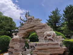 -青藏高原野生动物园