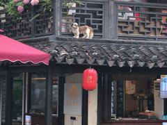 -葑门横街