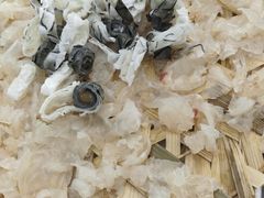 -官塘原味鱼生·潮菜大排档(潮州总店)