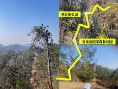 -青龙山国家森林公园