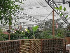 -金稼园·金平湖农家菜