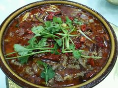 -乡土特色.冷锅鱼.牦牛肉汤锅