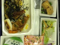 -全日本空输株式会社(上海办事处)
