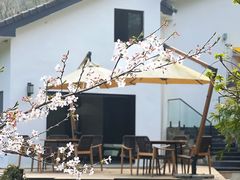 -杭州上天竺法喜讲寺