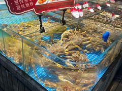 -连鹭海鲜·海肠捞饭·海胆饭(星海店)
