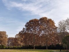 -河南省黄河迎宾馆