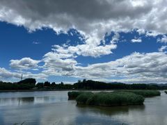 -野鸭湖国家湿地公园