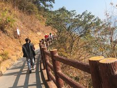-羚羊峡古栈道森林公园