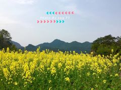 -楠溪江风景名胜区