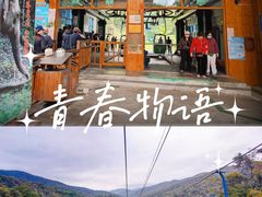 -野象谷景区