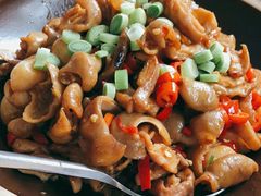 干锅肥肠-玉桥餐厅(天坛店)