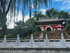-皇家御河游(紫御湾码头)