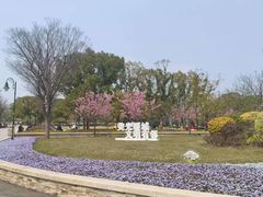 -新江湾城公园