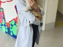 -喜多萌中农锦绣动物医院24H·猫科·牙科MRI·CT