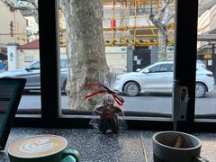-Apollo·西班牙小酒馆(安福路店)