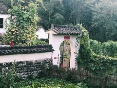 -塔川景区