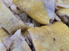 -明珠湖天鹅苑·农家菜馆