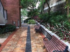 -香港大学