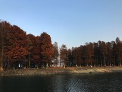 -四明湖