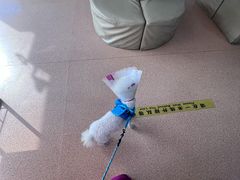 -宠颐生中康贝怡动物医院