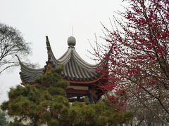 -白沙古井