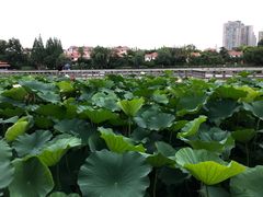 -箸福·夜上海(月牙湖公园店)