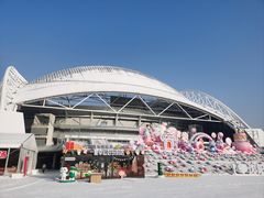 -沈阳奥体冰雪嘉年华