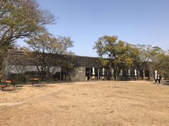 -龙头岩(Dragon Head Rock)