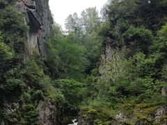 -茅兰沟国家森林公园