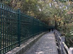 -紫金山天文台