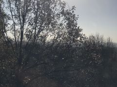 -紫金山索道-售票处