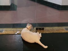 -Doors独立剧情密室(东门分店)