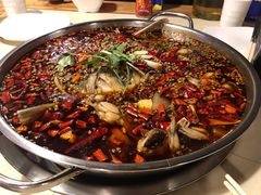 -味之绝热血美蛙鱼火锅(中坝店)