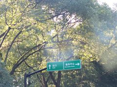 -上海东郊宾馆-地下停车库
