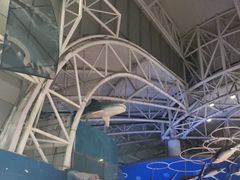 -烟台海昌鲸鲨海洋公园