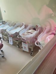 -皇家月府月子中心(沈阳店)