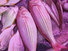 -友强·23年特色海鲜大排档(厦门店)