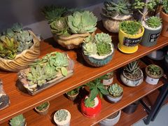 -何兮花店·气球派对鲜花店(马桥银春路万科城店)