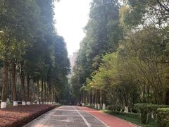 -龙头寺公园