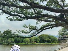 -江心屿景区