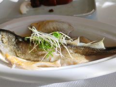 -顺峰(农展馆店)
